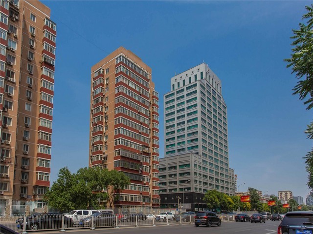 河北木头打净片机实体厂家